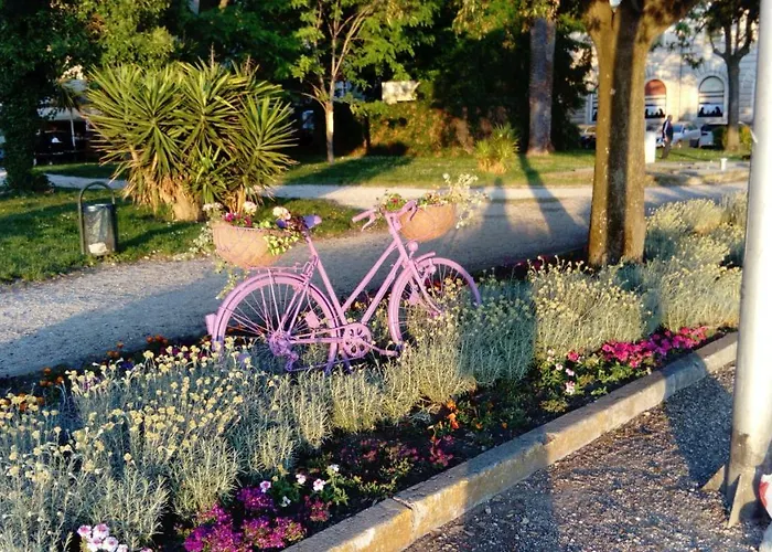 El Panoramico 扎达尔